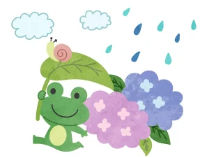 梅雨時期のカエル
